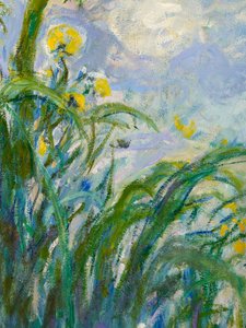 Die gelbe Iris (Detail)